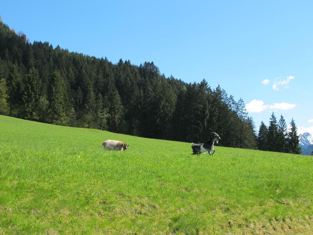 Fertinghof Vila Wildschoenau Exterior foto