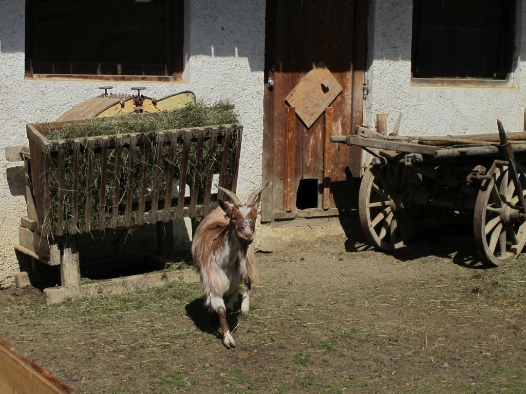 Fertinghof Vila Wildschoenau Exterior foto